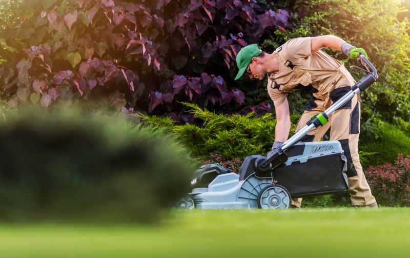 Gardening And Lawn Care