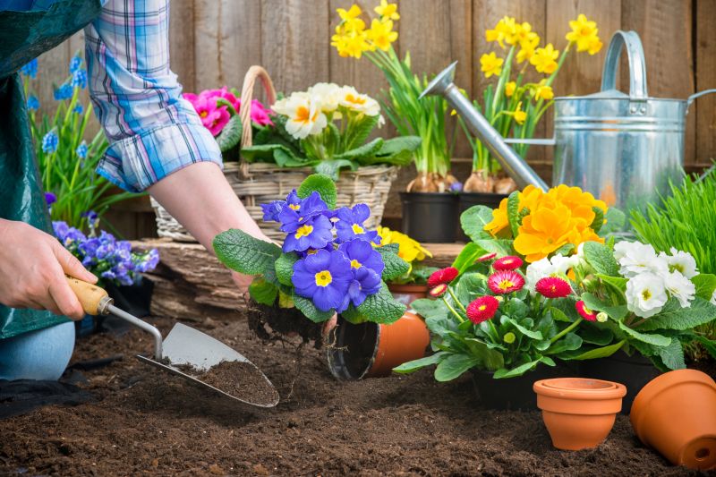 Gardening And Lawn Care