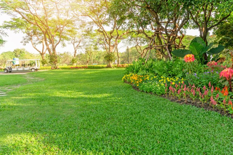 Gardening And Lawn Care