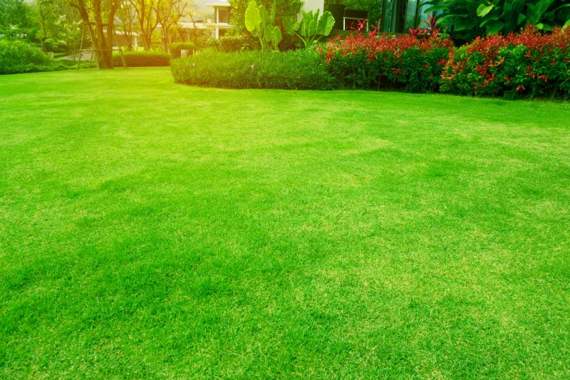 Gardening And Lawn Care