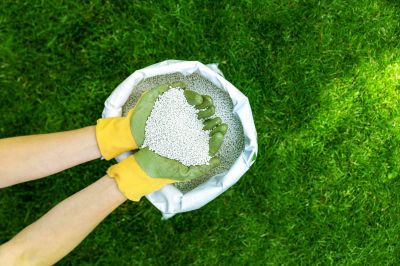 Gardening And Lawn Care