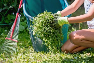 Gardening And Lawn Care