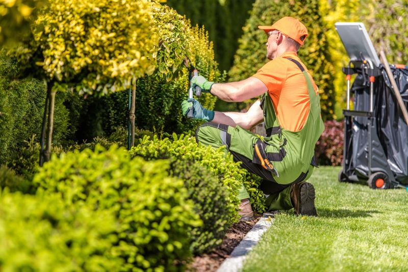 Gardening And Lawn Care