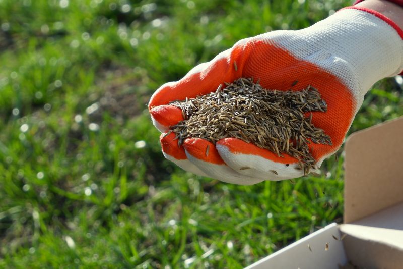 Gardening And Lawn Care