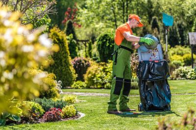 Gardening And Lawn Care
