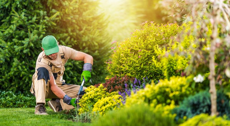 Contact About Gardening