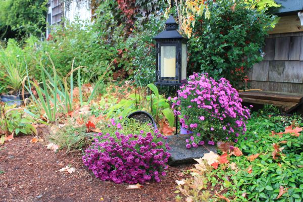 Gardening And Lawn Care Service